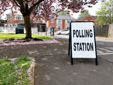 A sidewalk with a sign reading 'Polling Station' is positioned prominently in the foreground. The scene includes a large tree with pink blossoms, scattering petals over the grass and pavement. In the background, residential brick houses and a white car are visible.