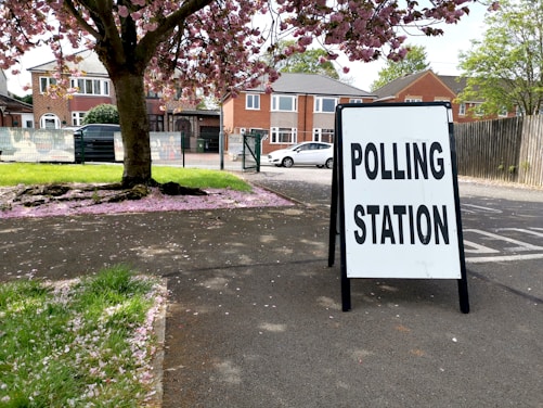 A sidewalk with a sign reading 'Polling Station' is positioned prominently in the foreground. The scene includes a large tree with pink blossoms, scattering petals over the grass and pavement. In the background, residential brick houses and a white car are visible.