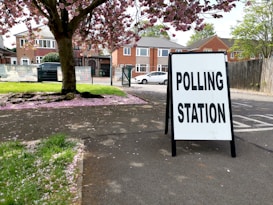 A sidewalk with a sign reading 'Polling Station' is positioned prominently in the foreground. The scene includes a large tree with pink blossoms, scattering petals over the grass and pavement. In the background, residential brick houses and a white car are visible.