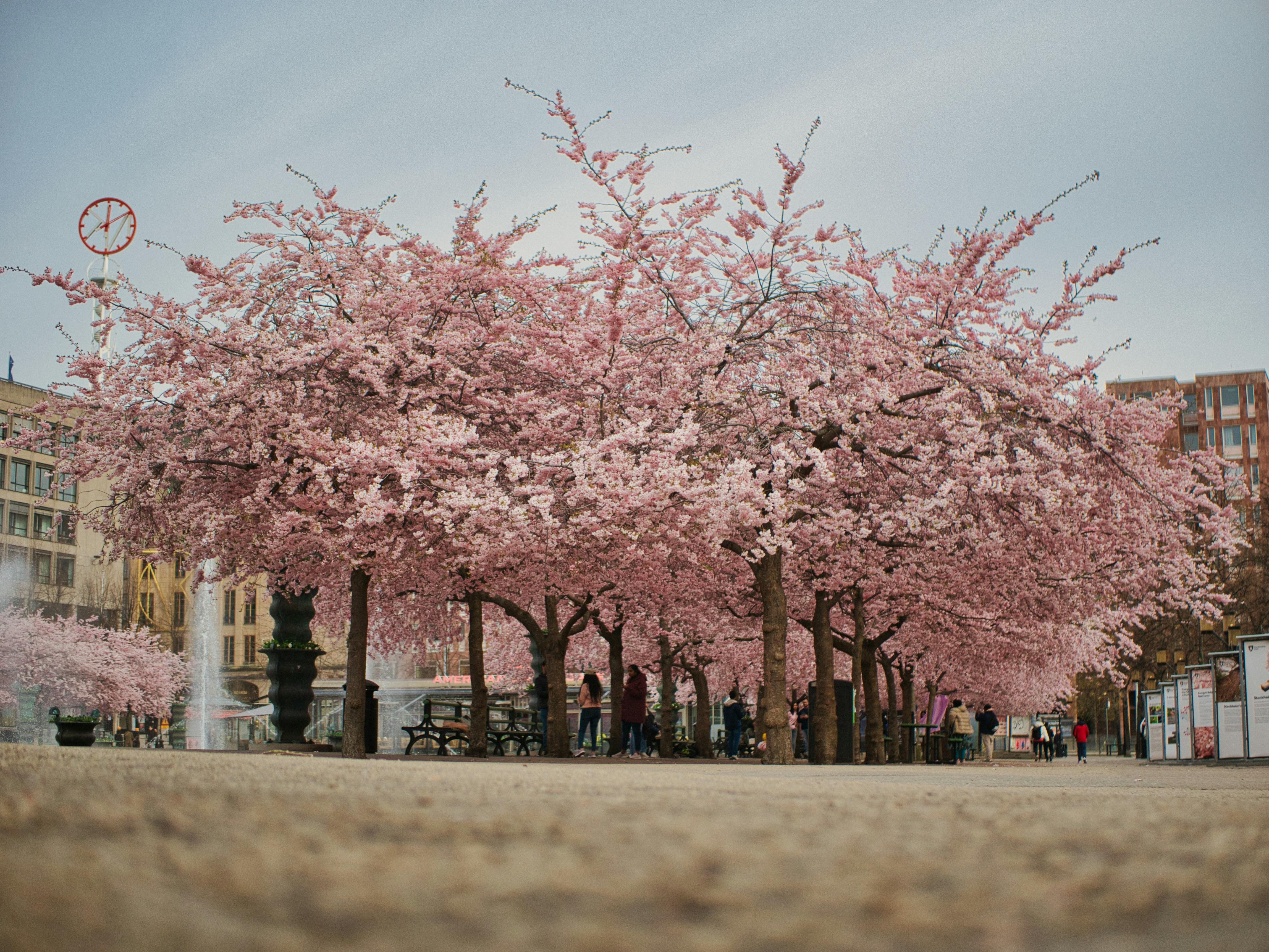 Kungsträdgården Park