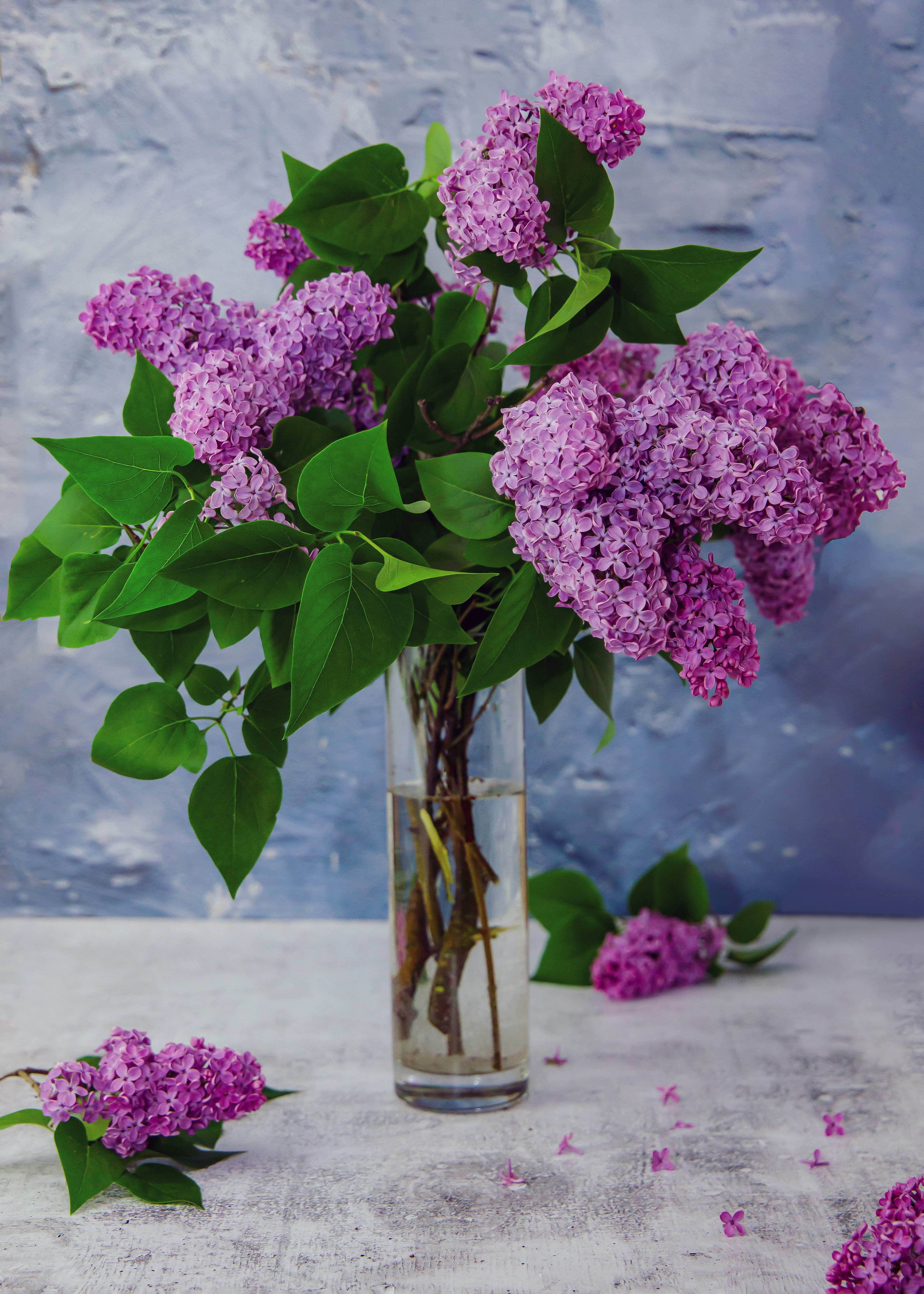 eine Vase gefüllt mit lila Blumen auf einem Tisch