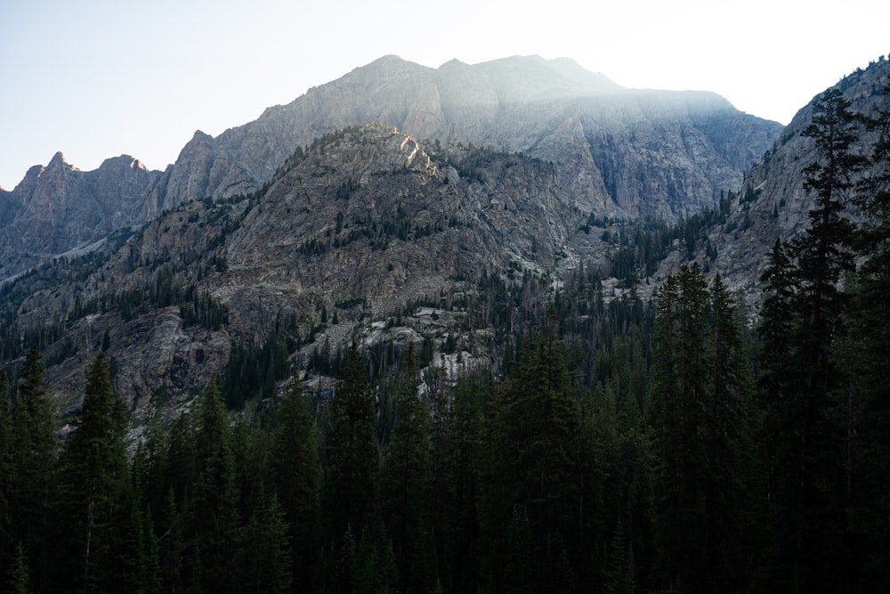 a large mountain with a lot of trees in front of it