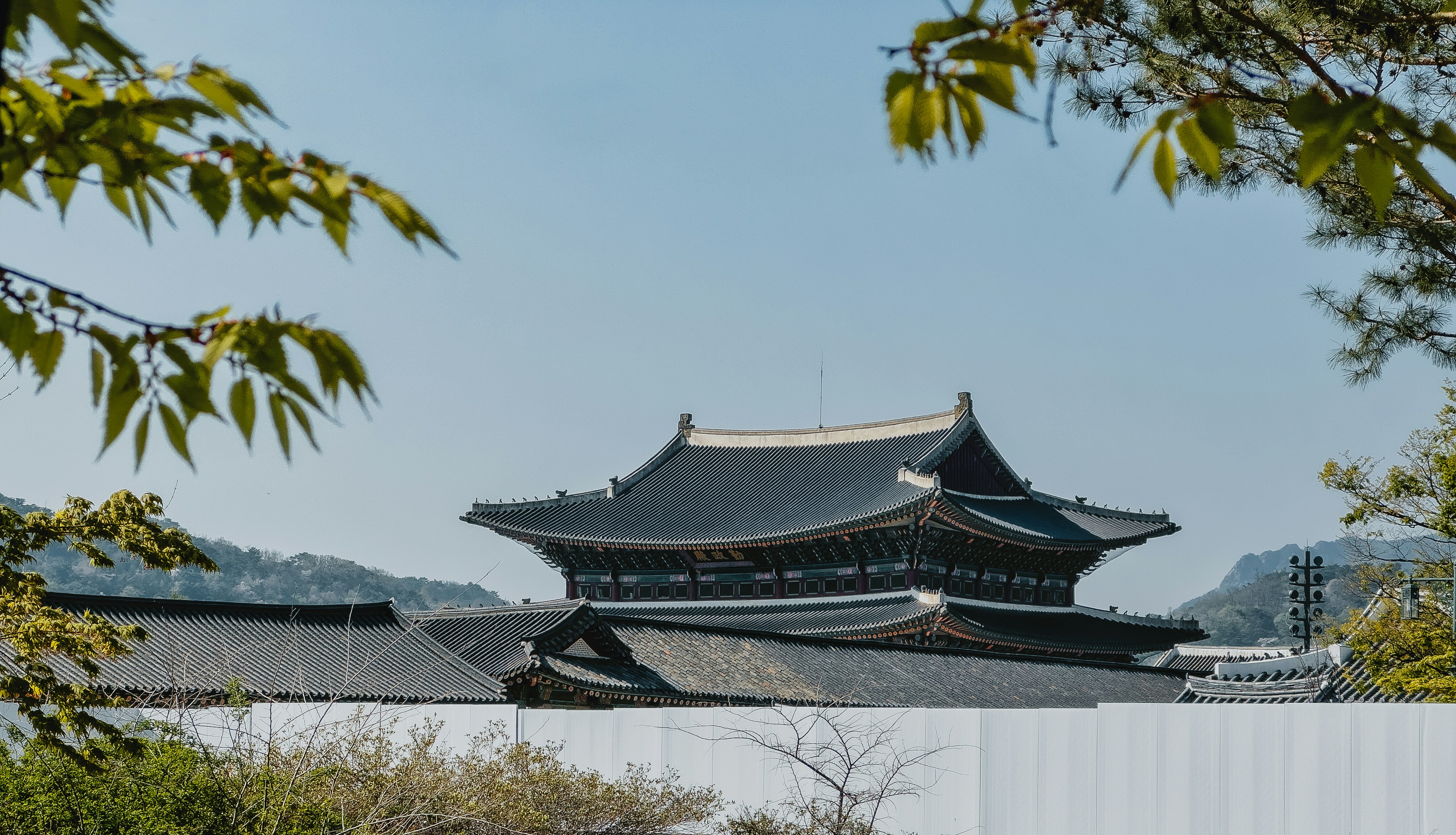 a tall building sitting on top of a lush green field
