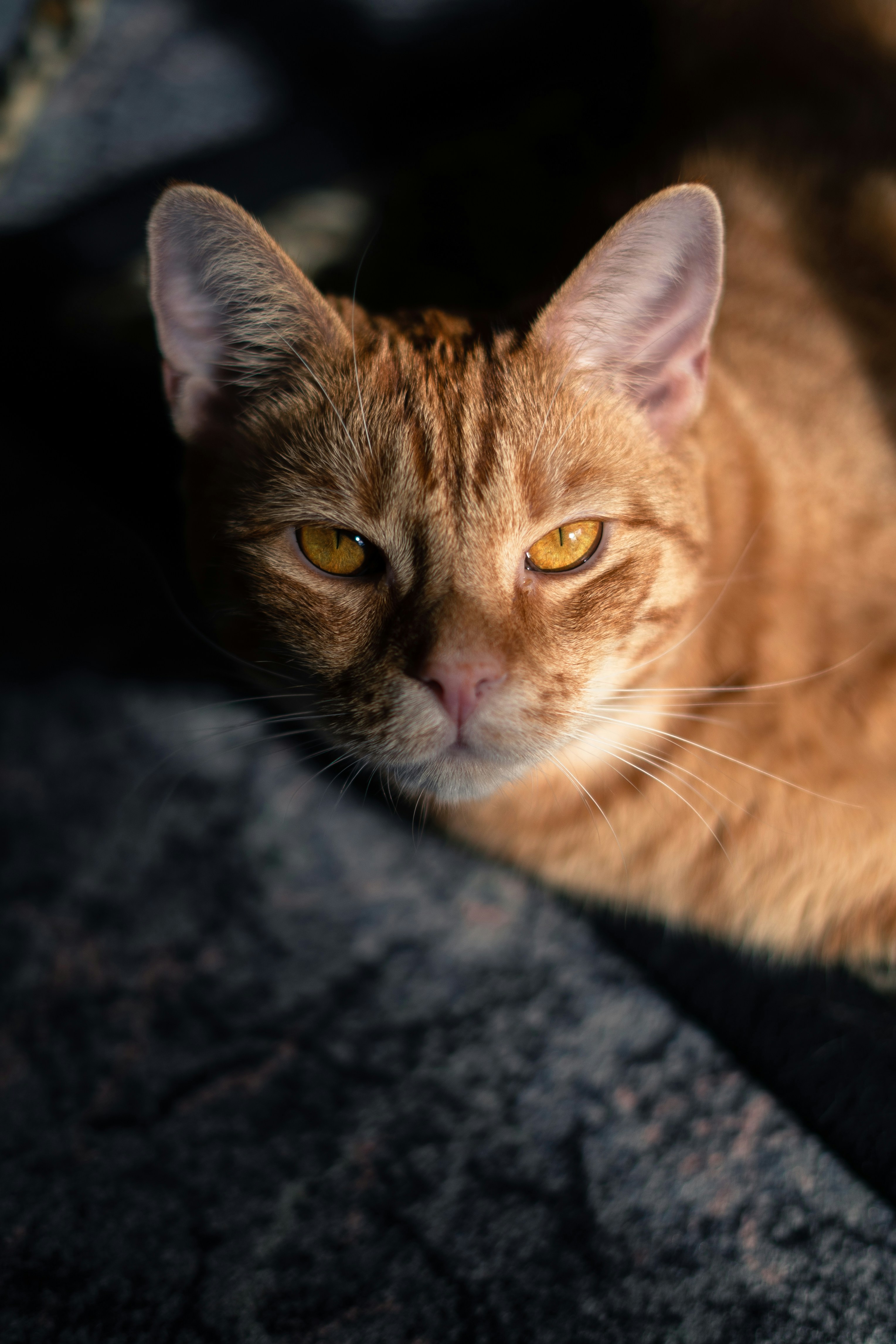 Photo by adamkolmacka