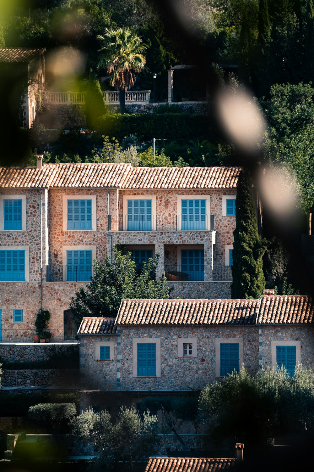 a building with a lot of windows and trees