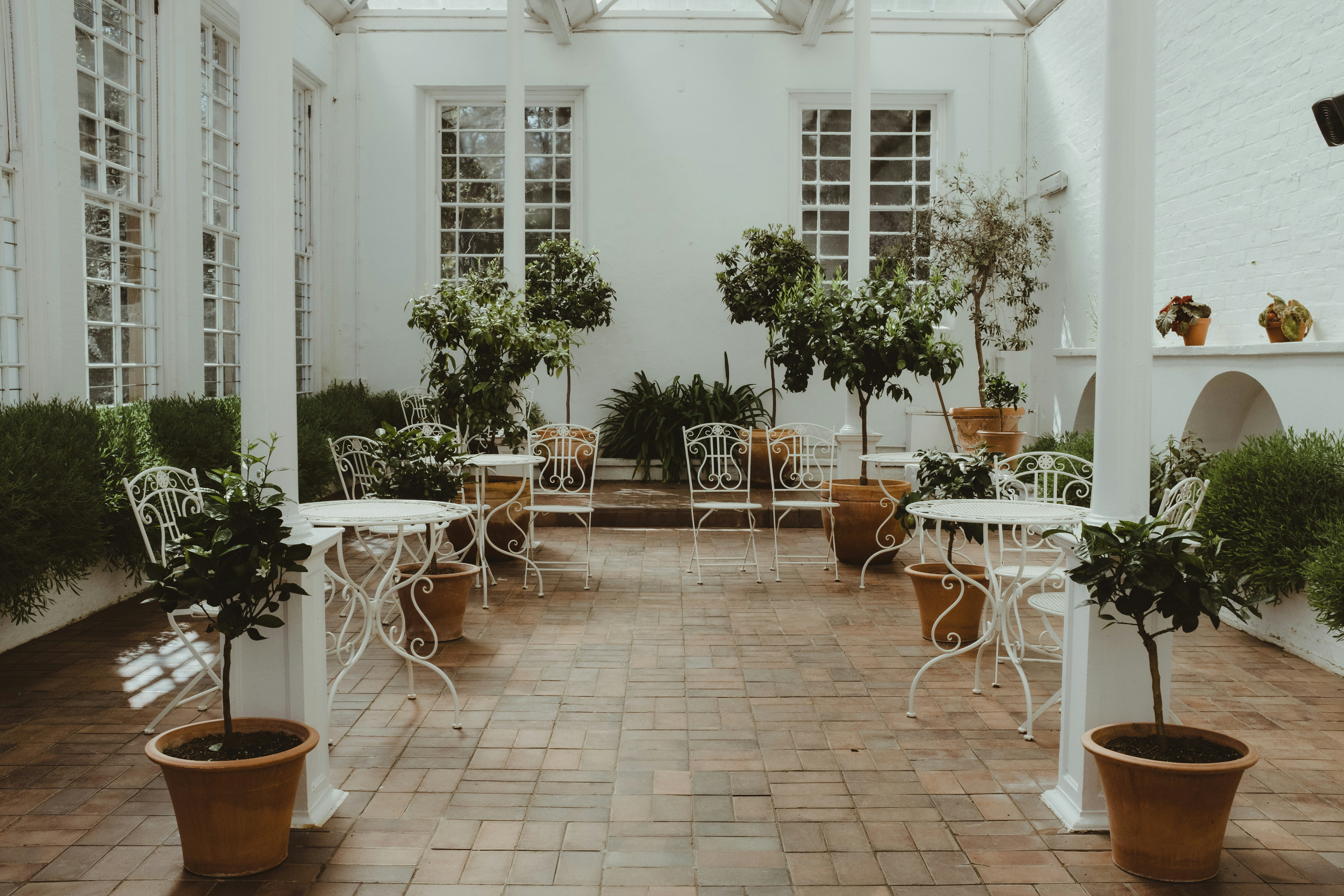 a room filled with lots of potted plants