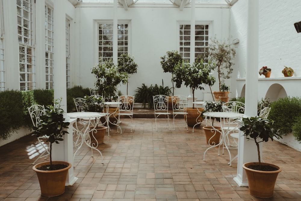 a room filled with lots of potted plants