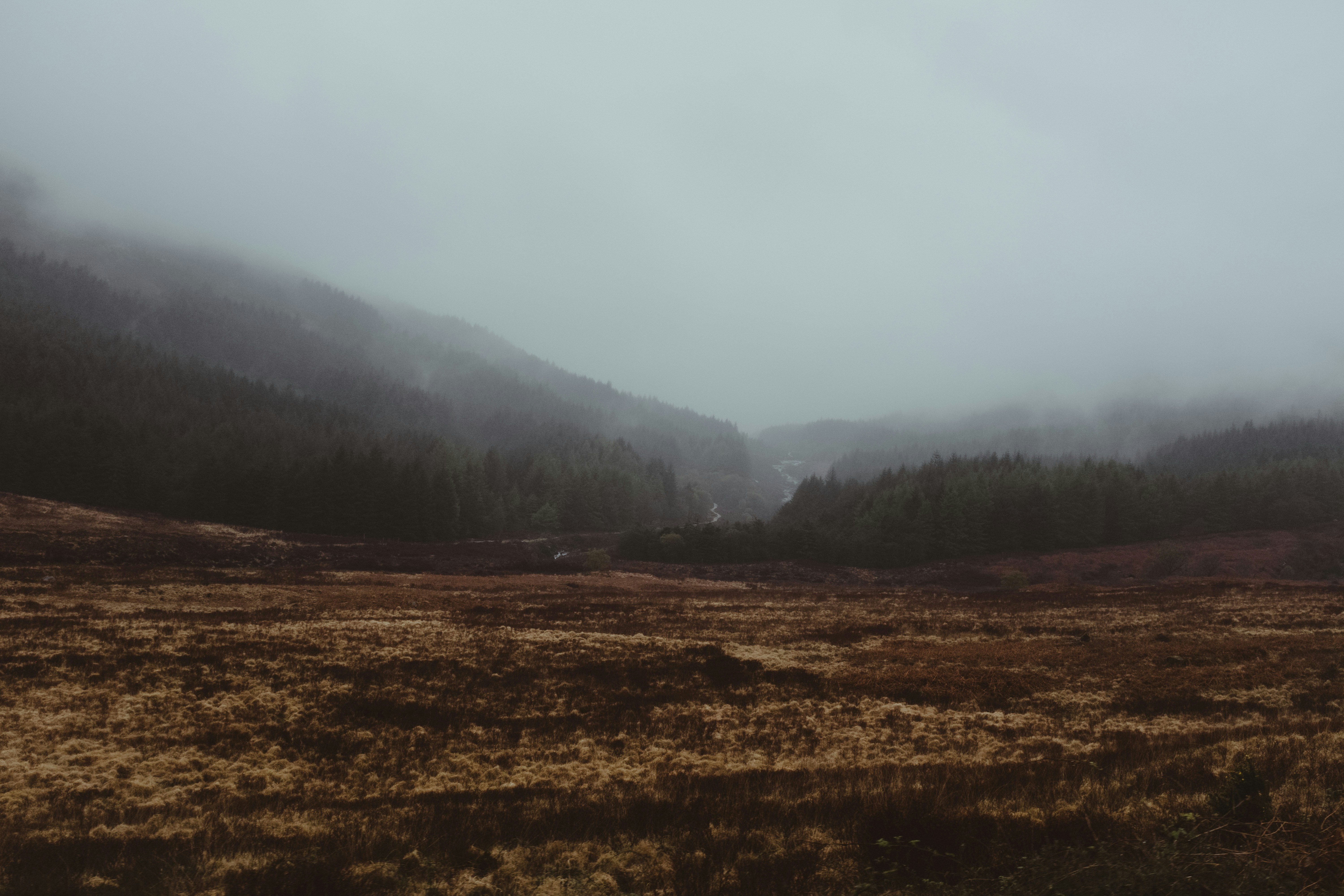 Photo by eleanorbrooke