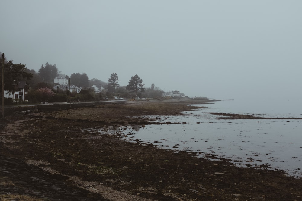 a body of water sitting next to a sandy beach