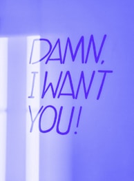 a sign that says damn i want you