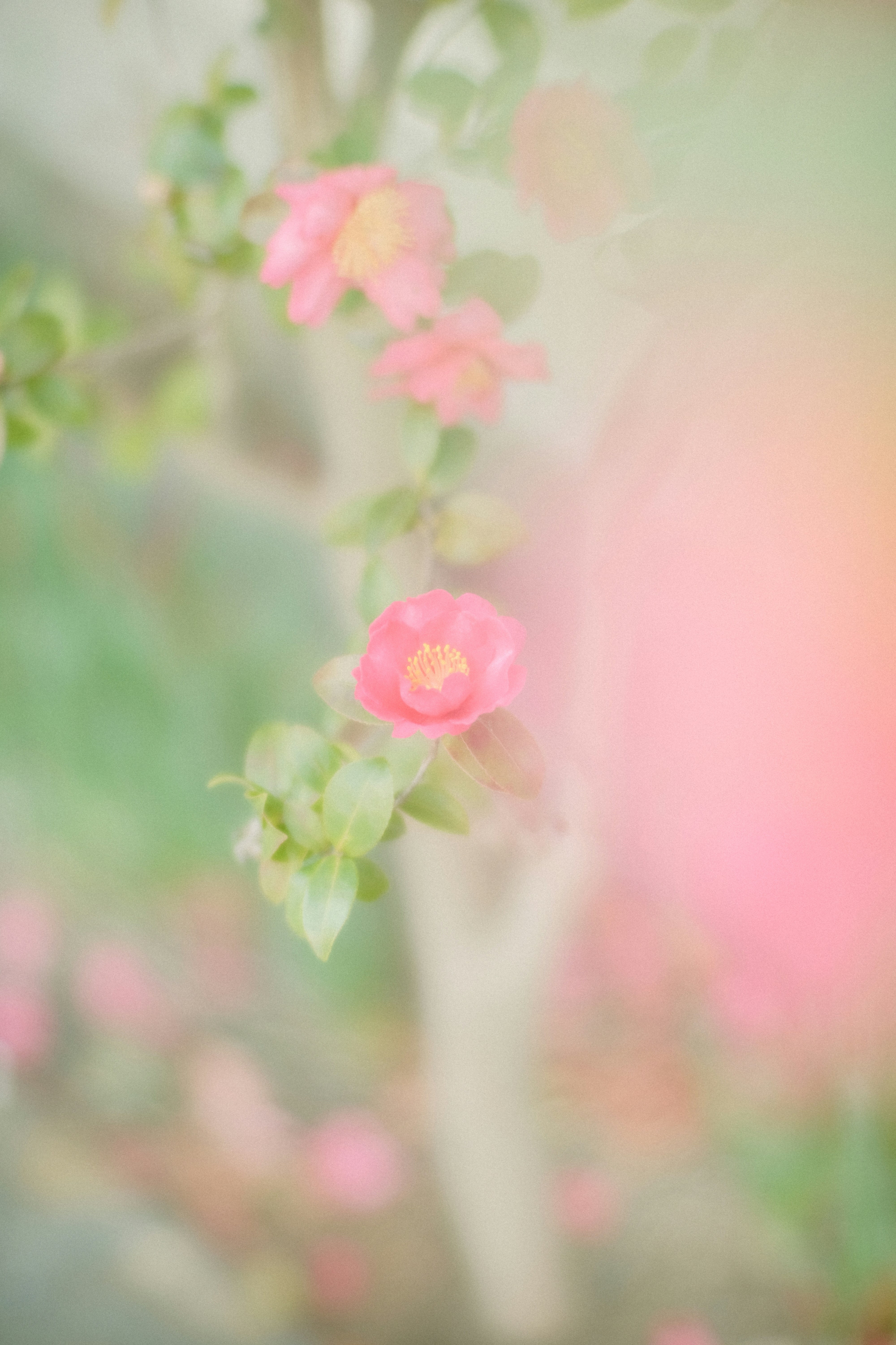 Photo by mak_jp