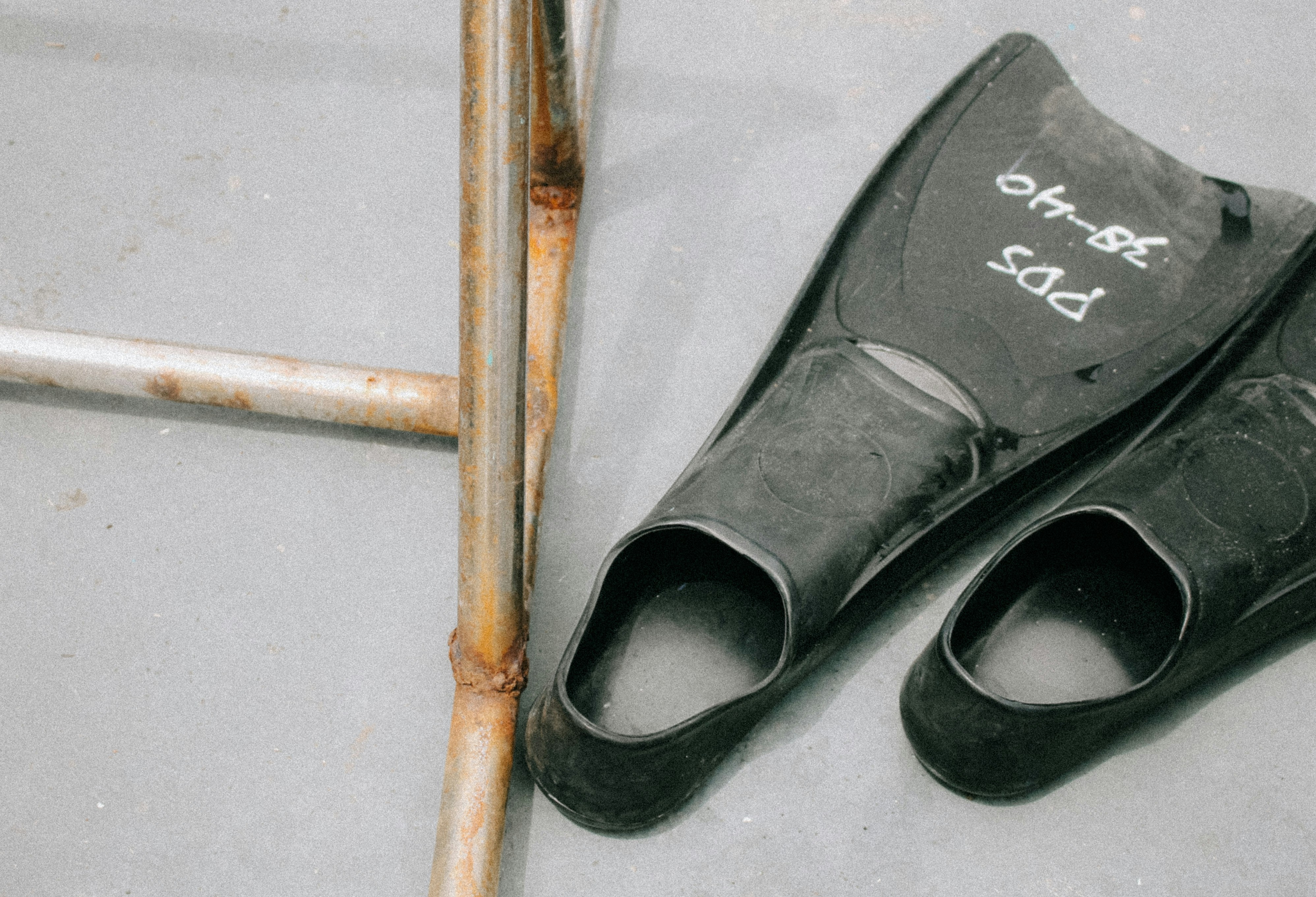 에르노 패딩 착용 후기 관련 이미지2