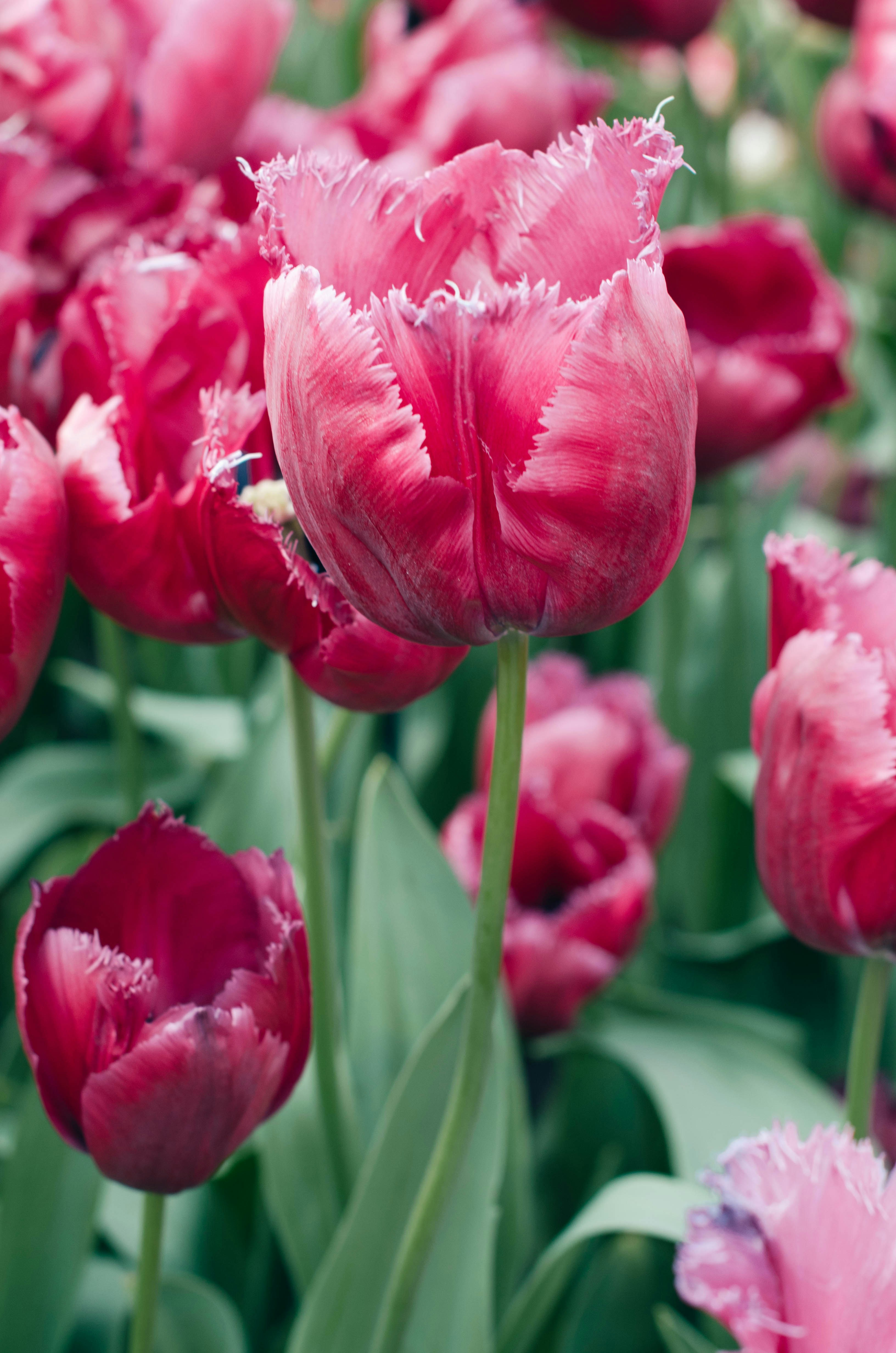 Photo by nika_benedictova