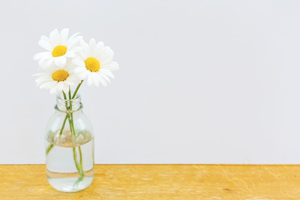 a glass vase filled with water and daisies