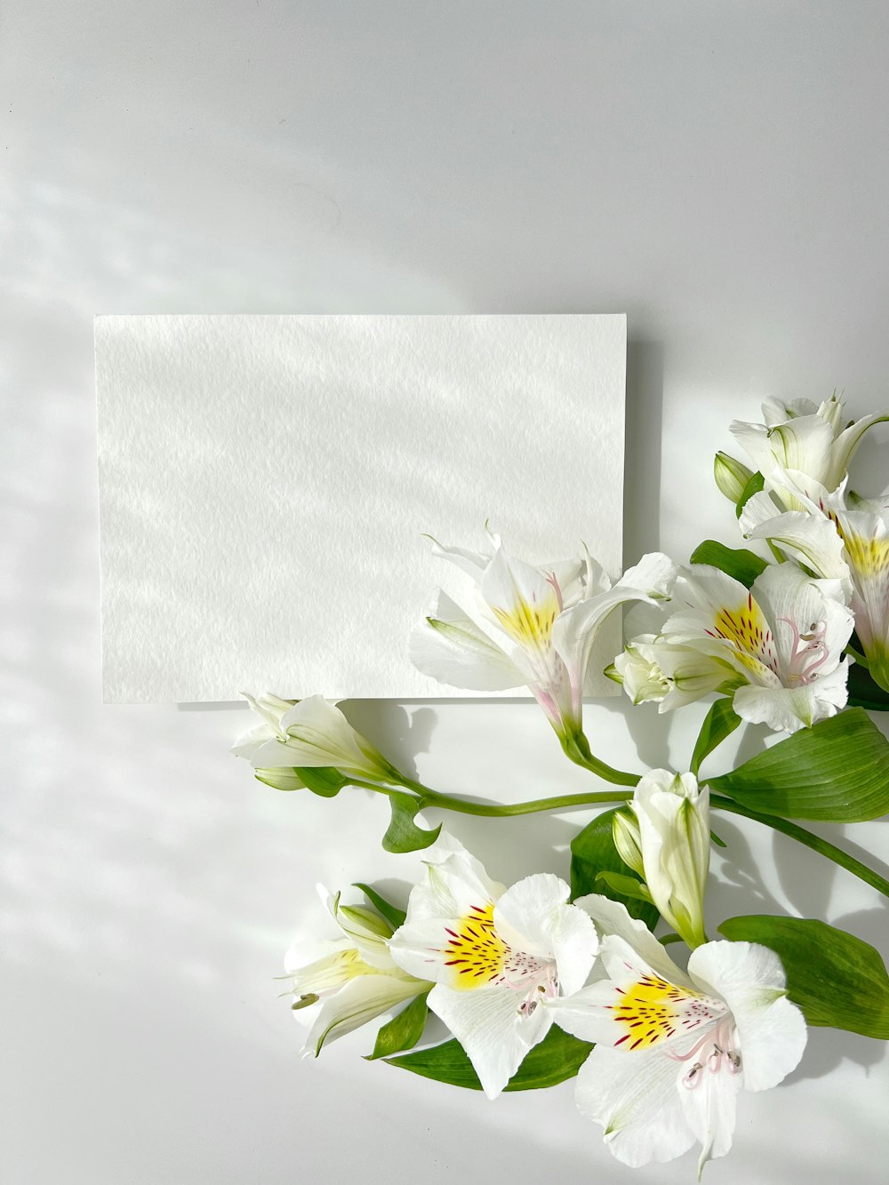 a bouquet of flowers next to a blank card