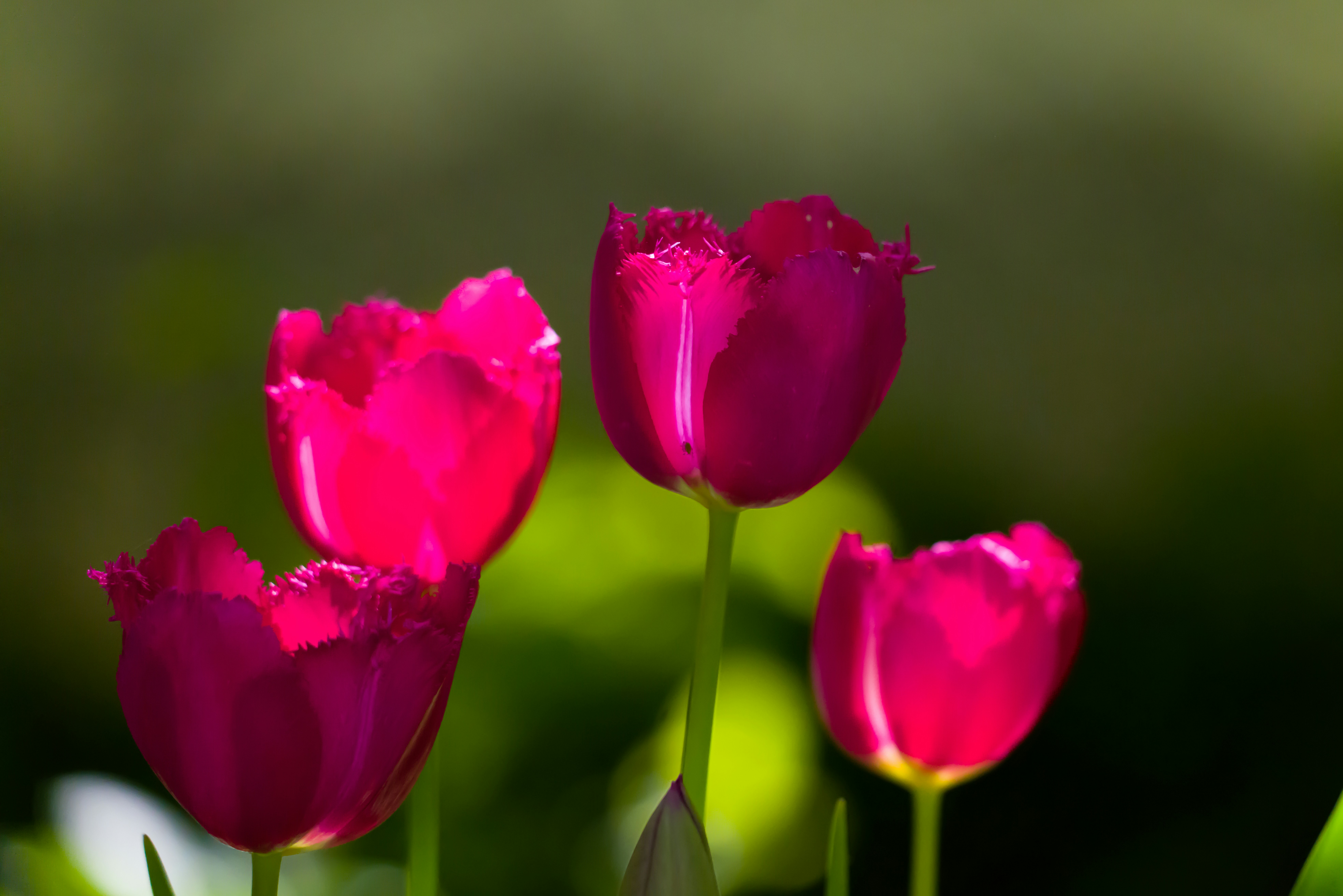 Photo by georgeiermann