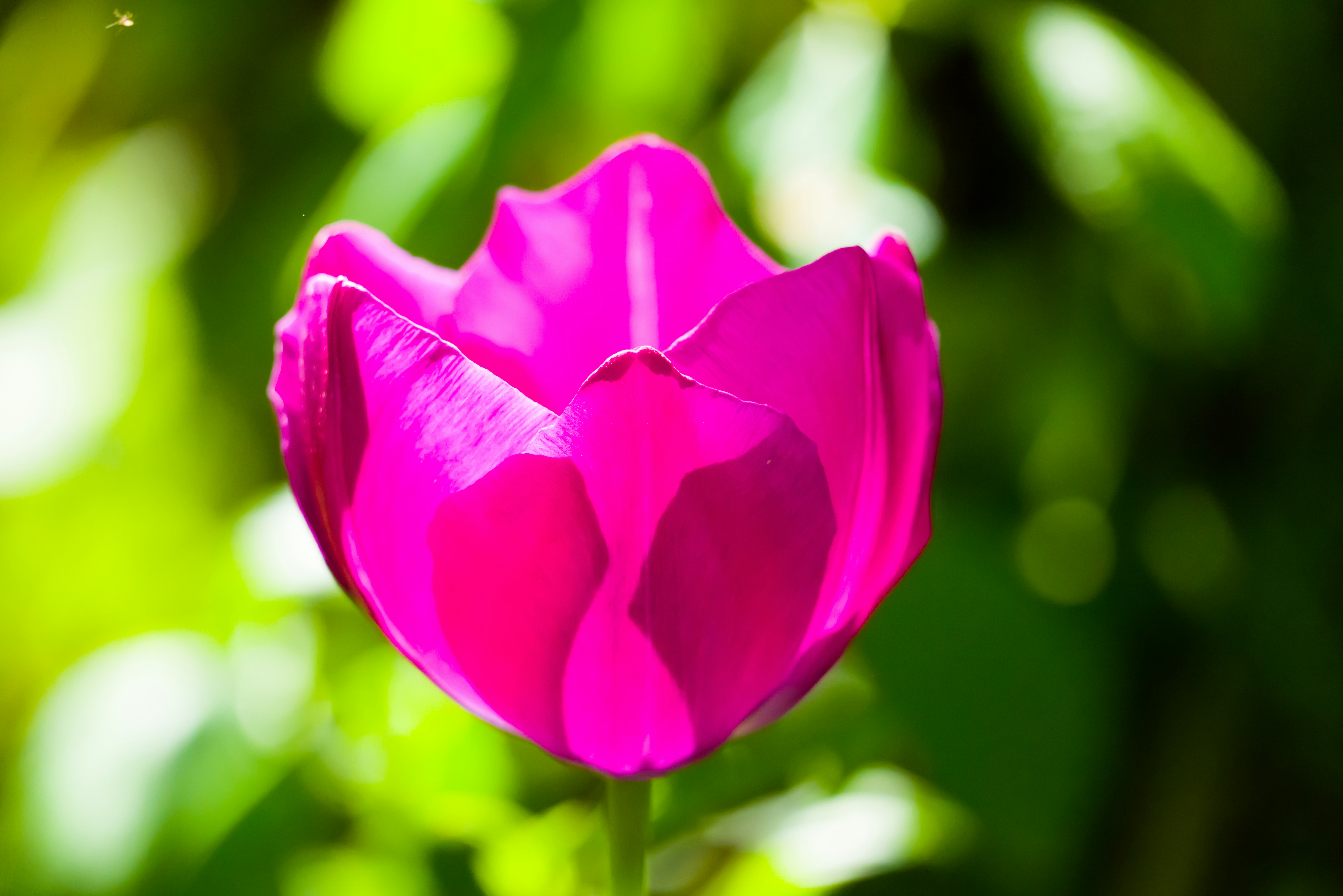 Photo by georgeiermann