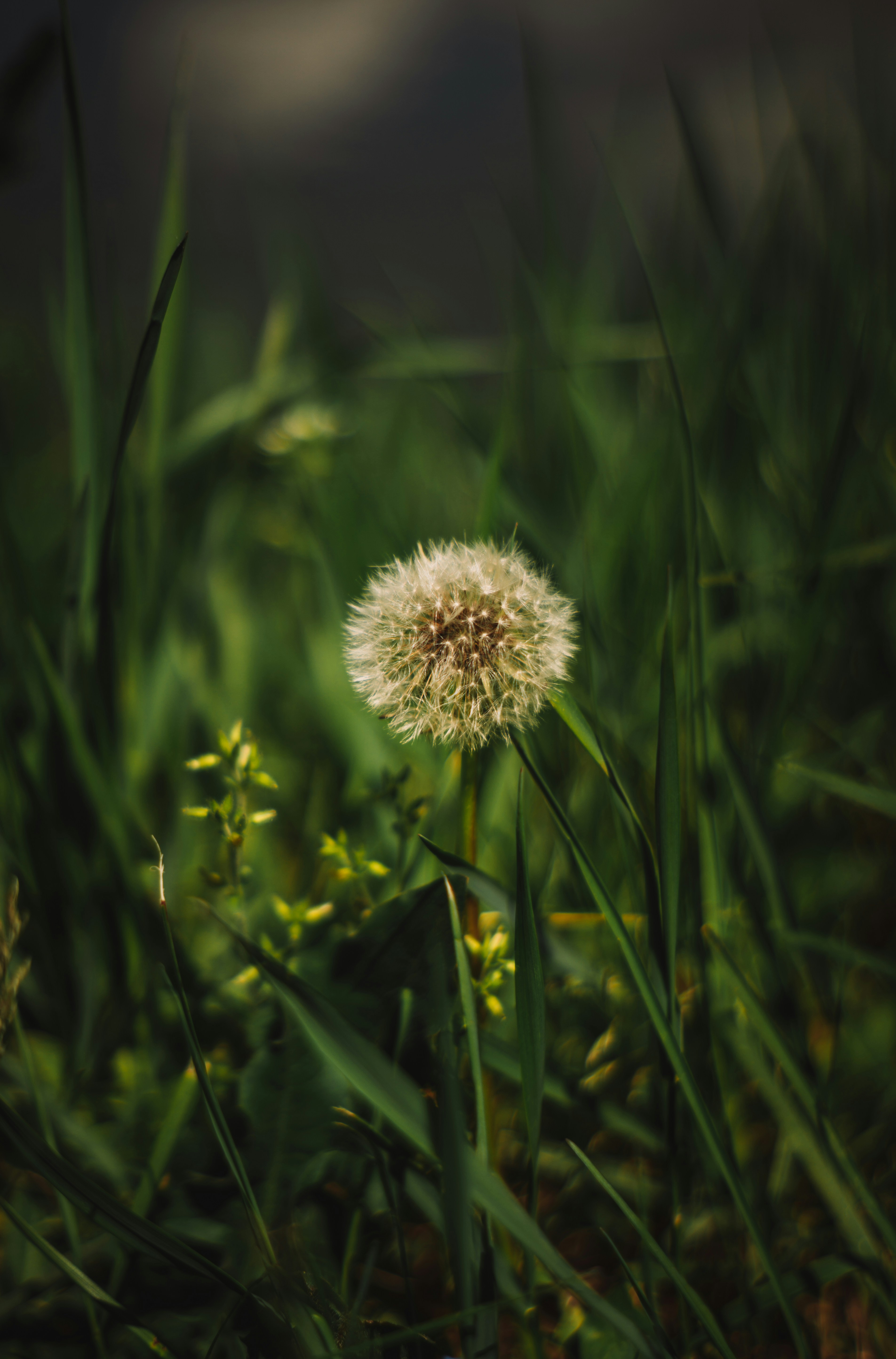 Photo by framesforyourheart