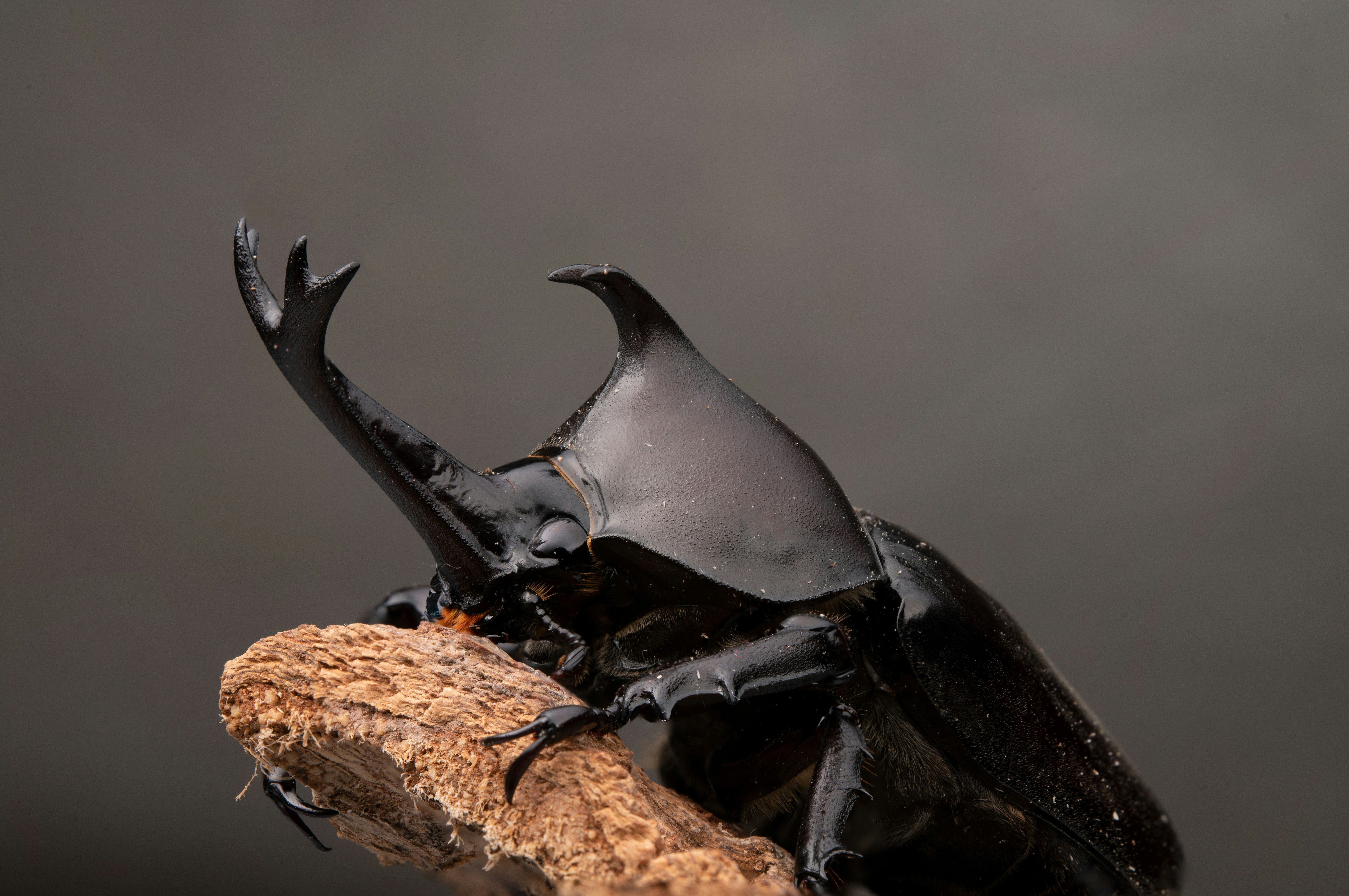 Photo by peek_a_boo_who