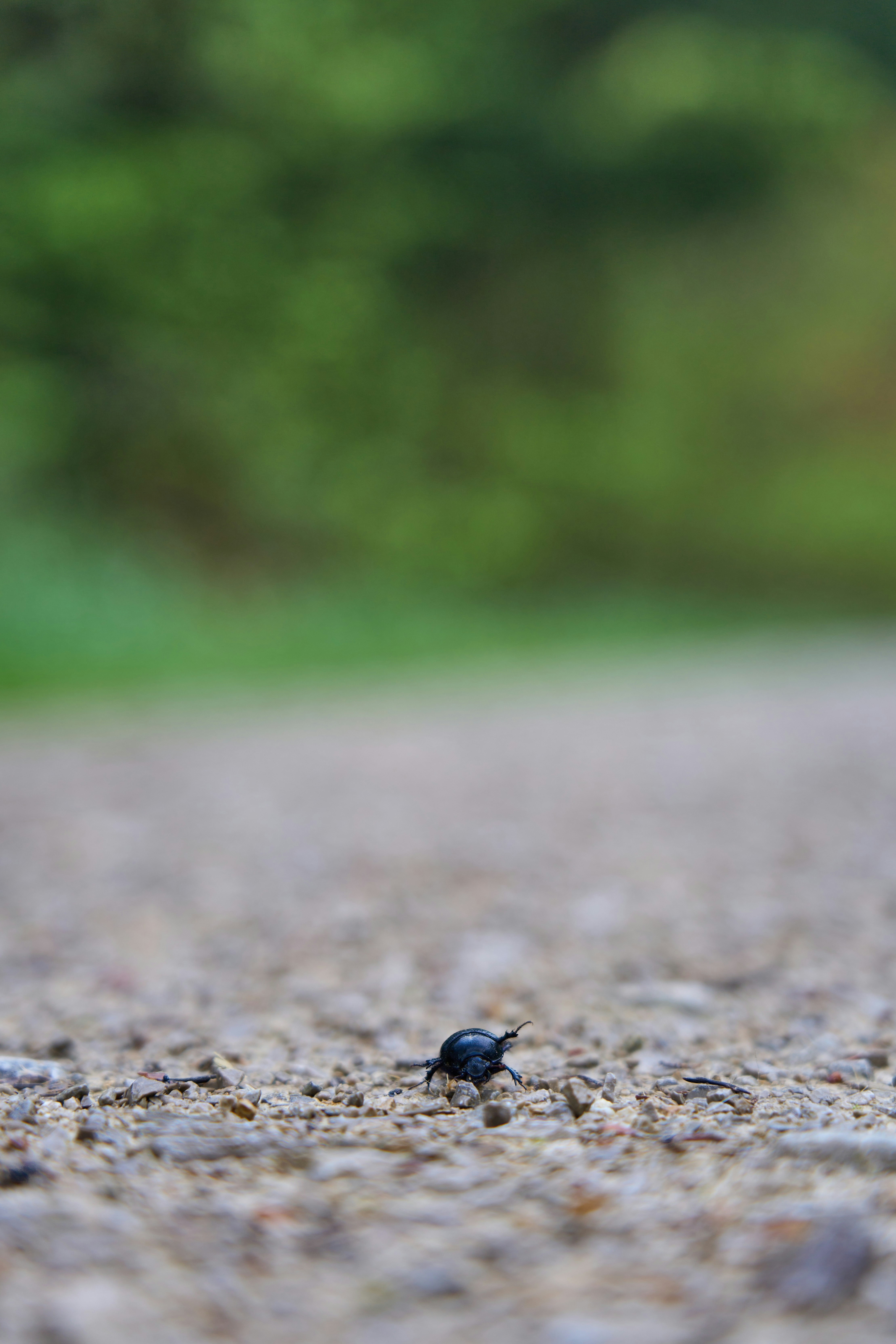 Photo by wolfgang_hasselmann