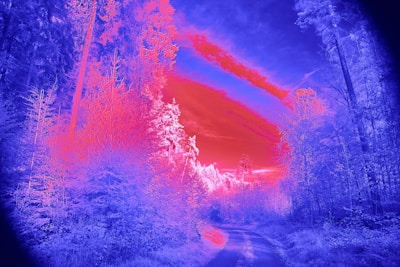 an infrared image of a road in the woods