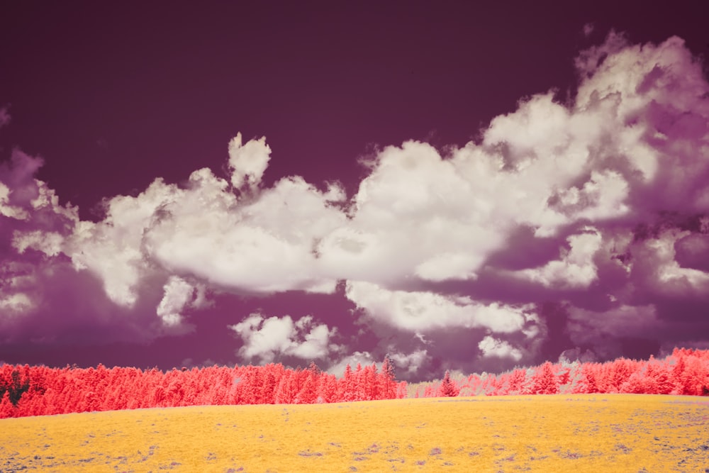 a field with trees and clouds in the background