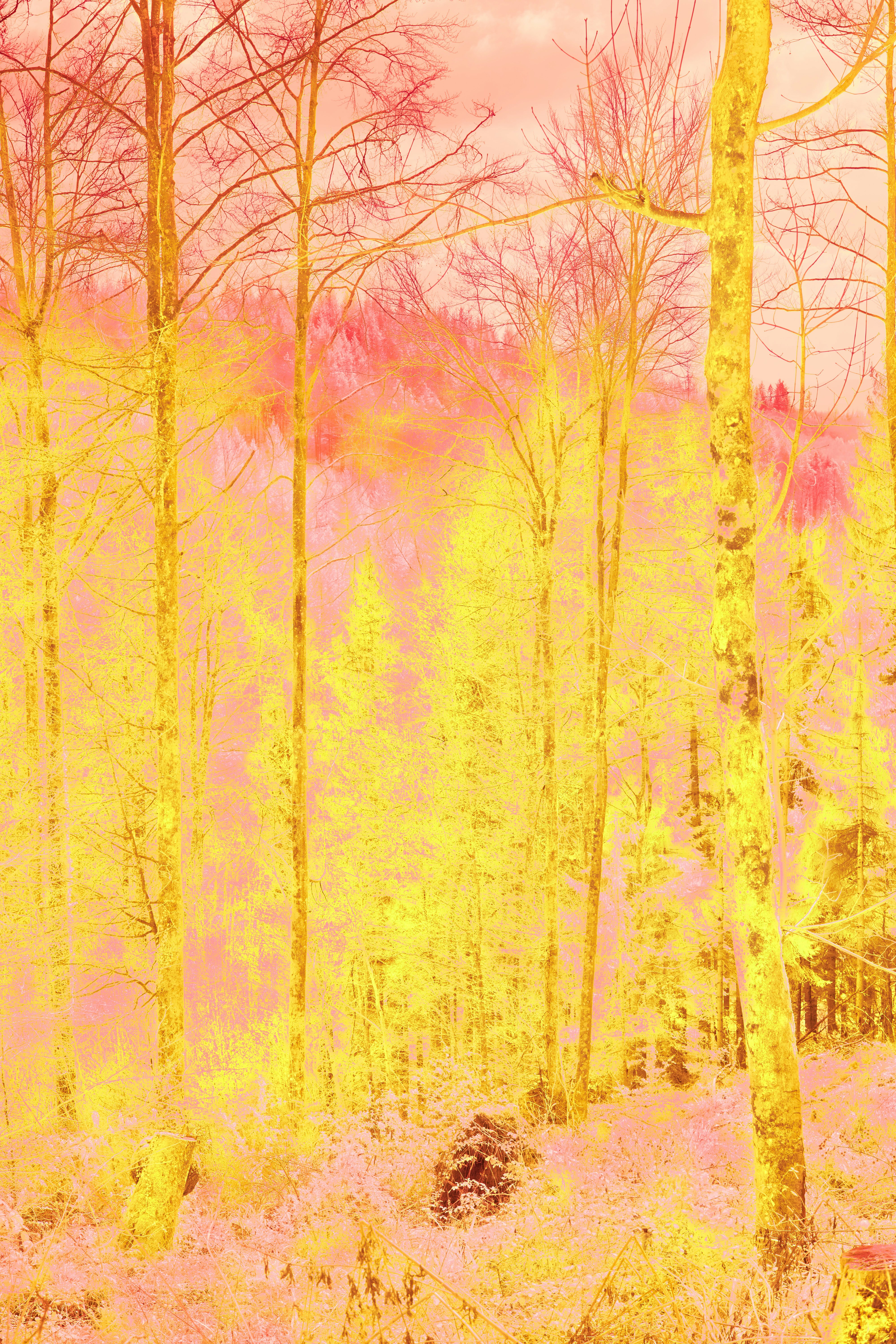 Photo by wolfgang_hasselmann