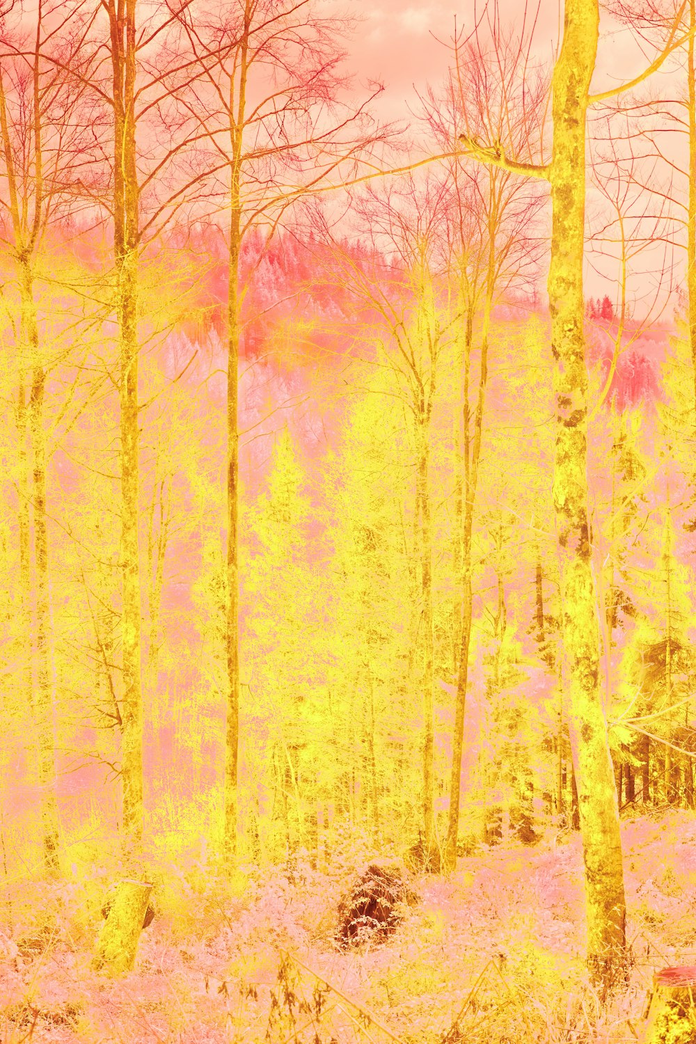 a painting of a forest with yellow trees