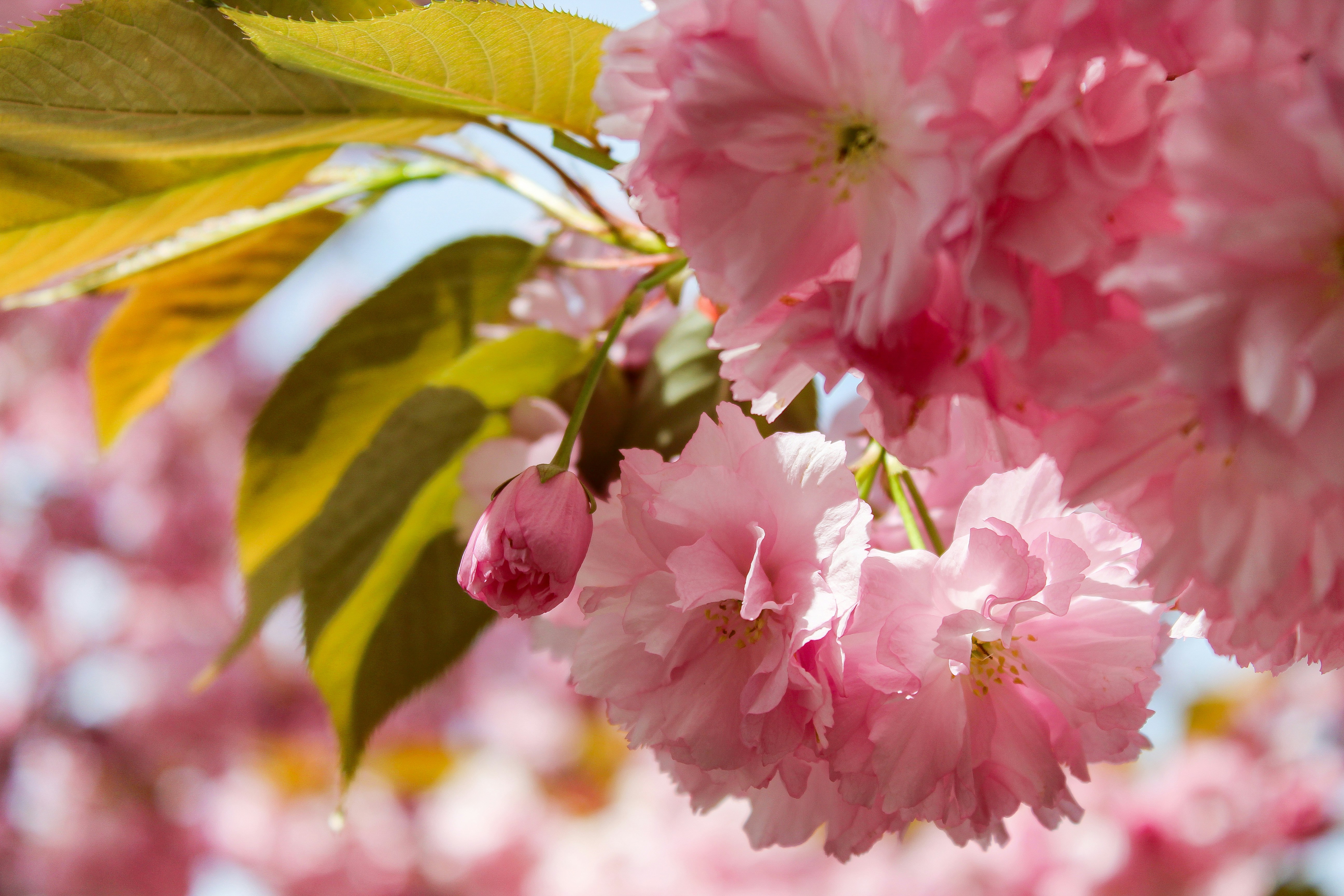 Photo by halleranguela