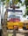 Colorful wooden signs are nailed to a tree, advertising services related to surfing, including a surf school, lessons, rentals, and repairs. In the background, there is a yellow school bus and a few people walking, with lush green trees overhead.