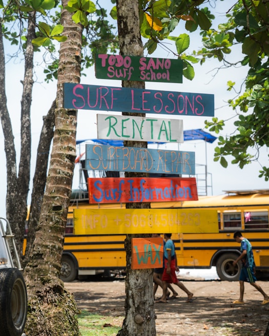 Colorful wooden signs are nailed to a tree, advertising services related to surfing, including a surf school, lessons, rentals, and repairs. In the background, there is a yellow school bus and a few people walking, with lush green trees overhead.
