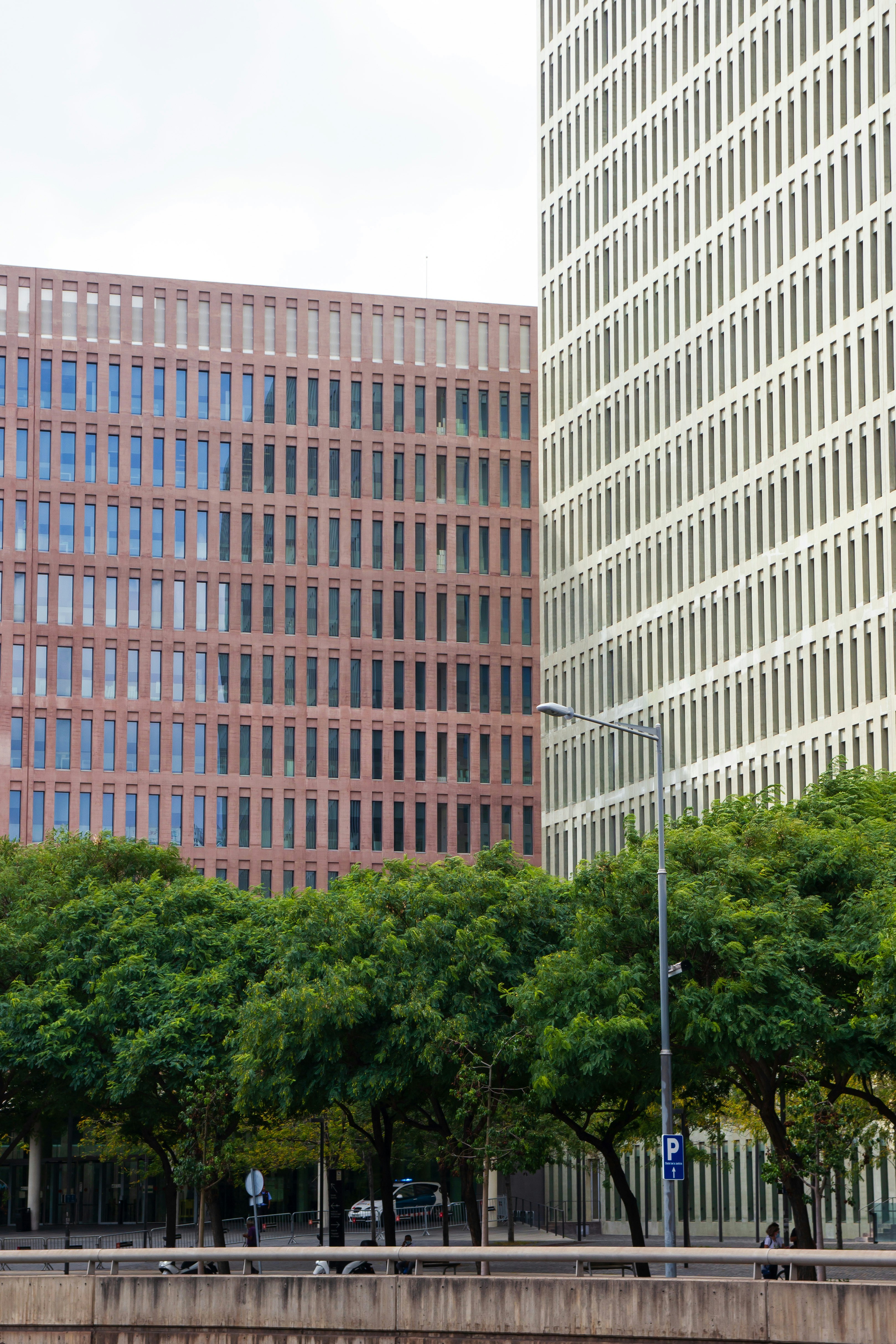 A couple of trees that are in front of a building photo – Free Building ...