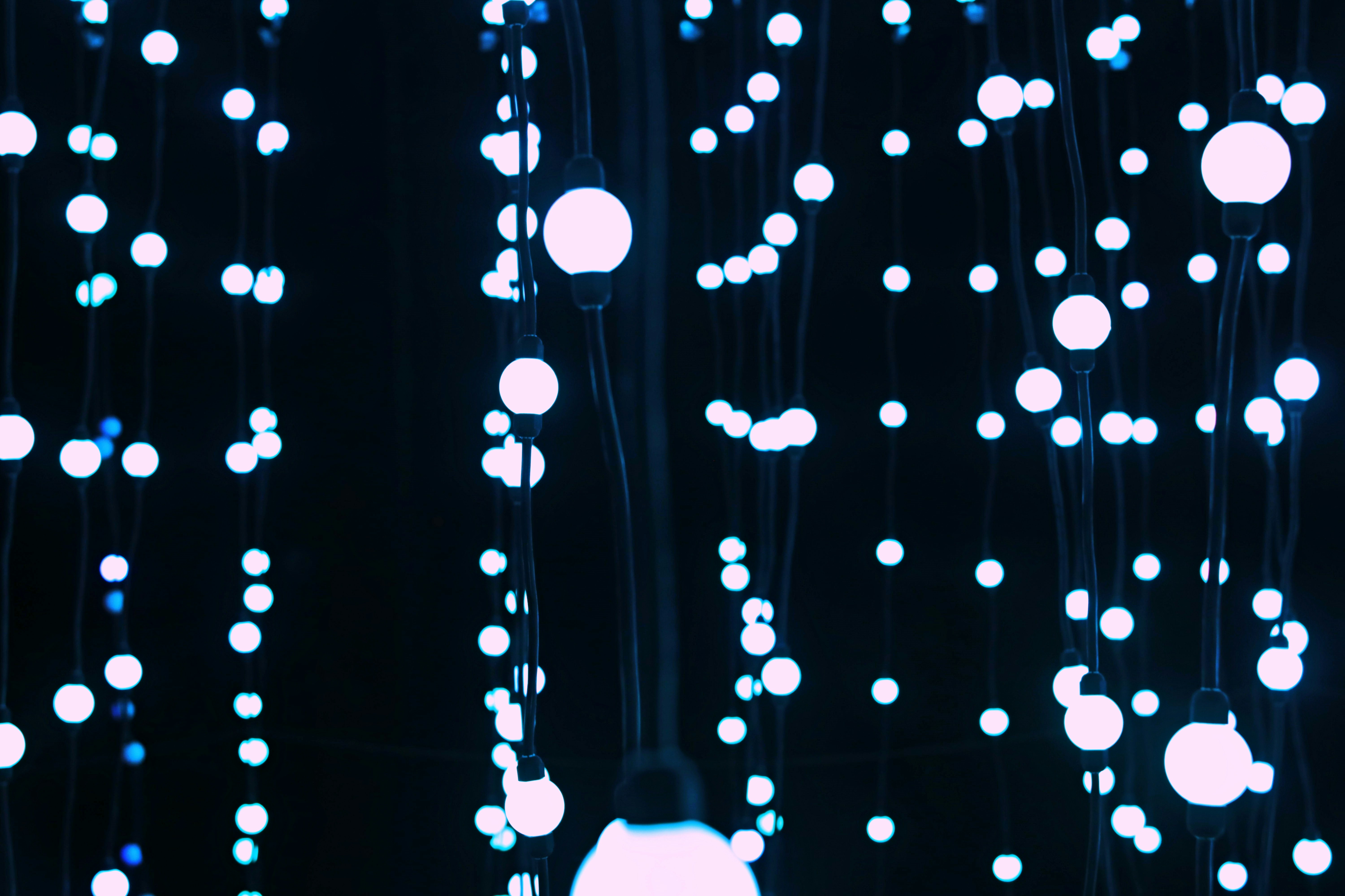 Photo by livelikeajester