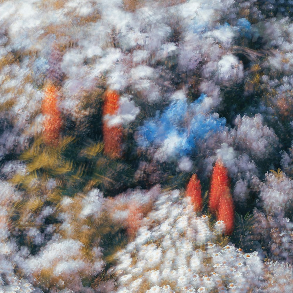 a blurry photo of trees and bushes in the woods