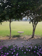 A compact camping stool set up in a lush green park.