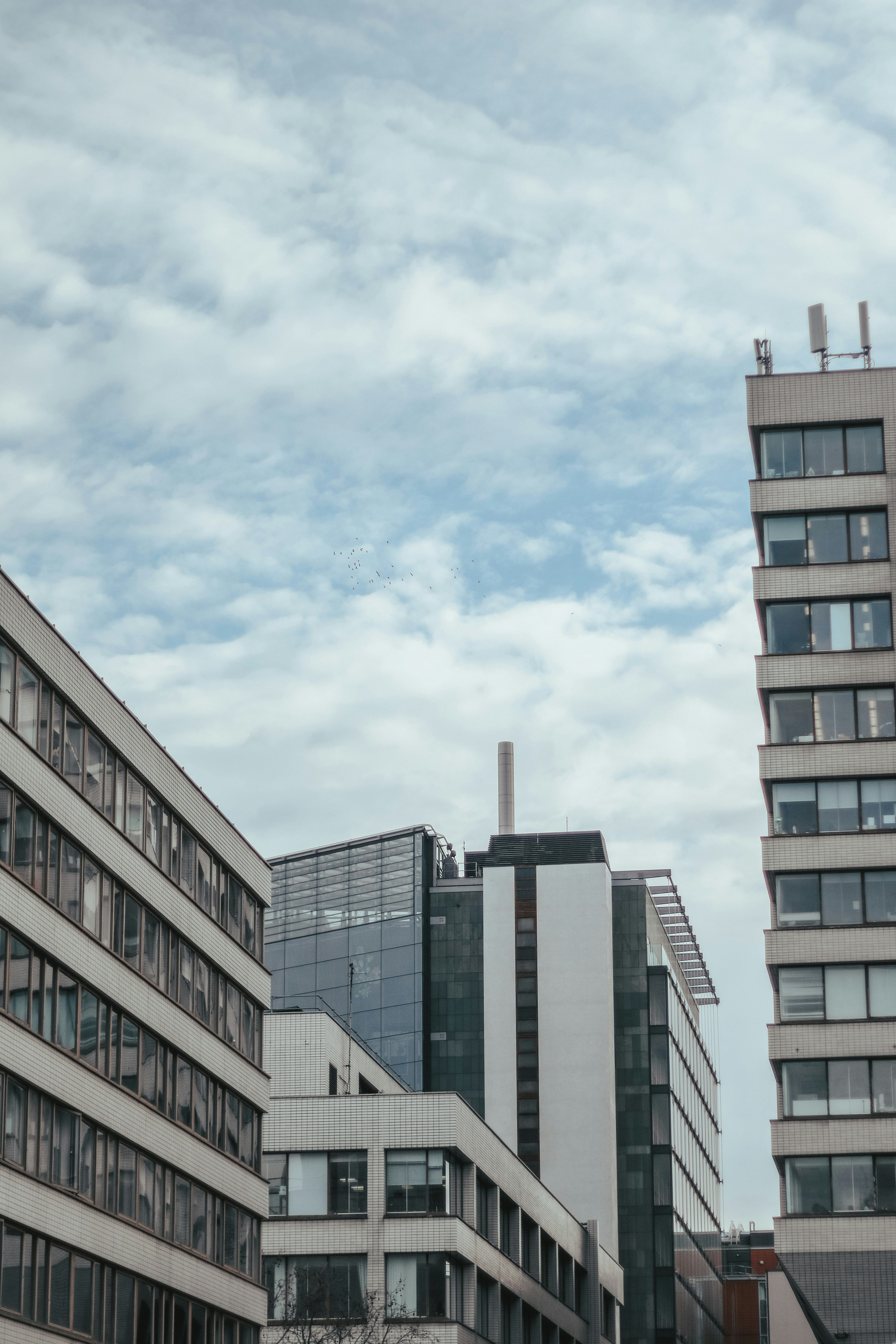 Photo by focalinsight