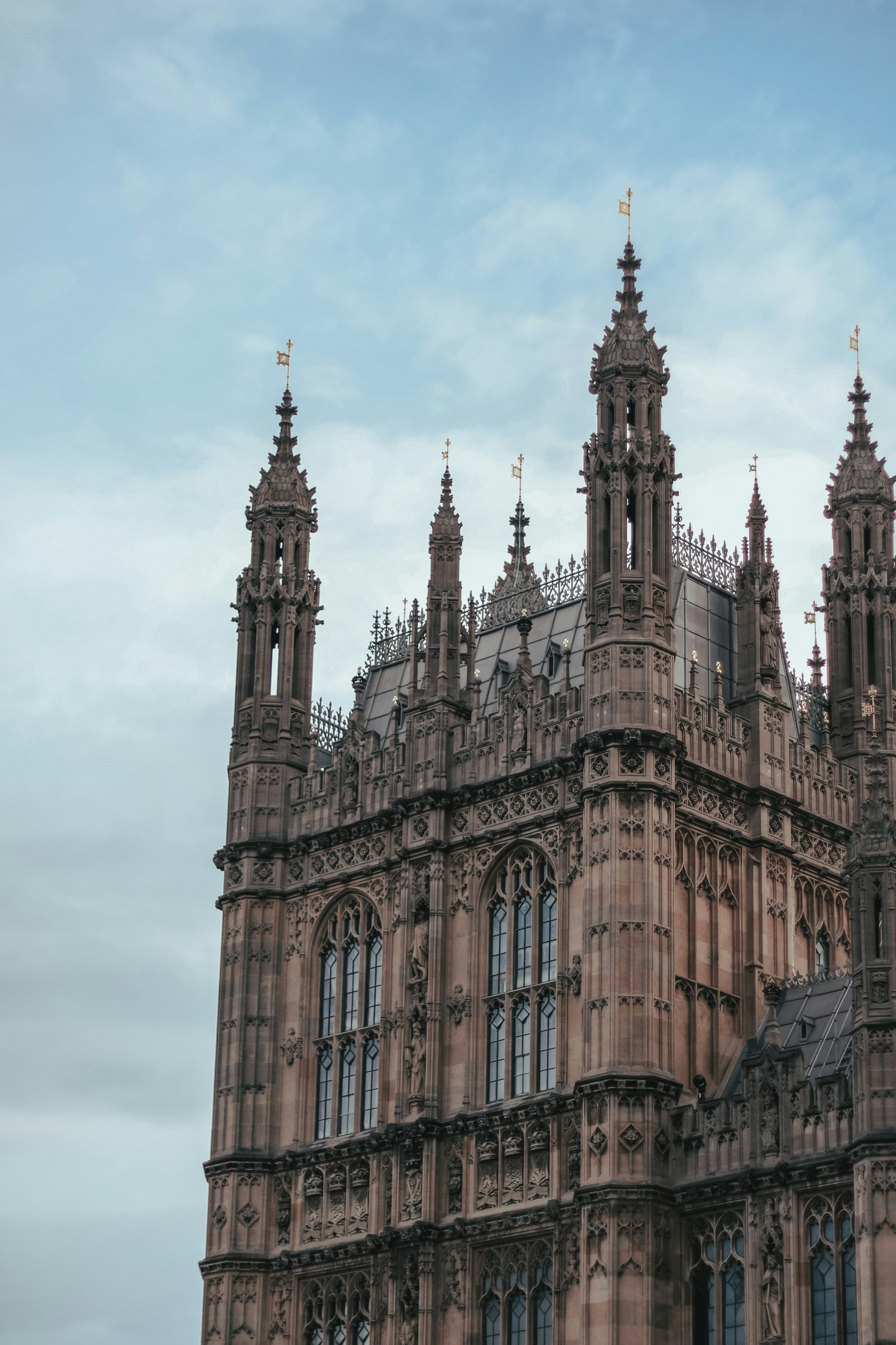 Photo by focalinsight