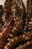 Close-up view of a pile of fresh, raw tiger prawns with dark and light brown stripes on their shells. The prawns appear to be wet and shiny, suggesting recent cleaning or washing.