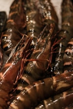 Close-up view of a pile of fresh, raw tiger prawns with dark and light brown stripes on their shells. The prawns appear to be wet and shiny, suggesting recent cleaning or washing.