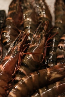 Close-up view of a pile of fresh, raw tiger prawns with dark and light brown stripes on their shells. The prawns appear to be wet and shiny, suggesting recent cleaning or washing.