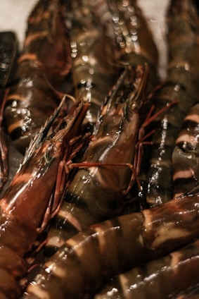 Close-up view of a pile of fresh, raw tiger prawns with dark and light brown stripes on their shells. The prawns appear to be wet and shiny, suggesting recent cleaning or washing.