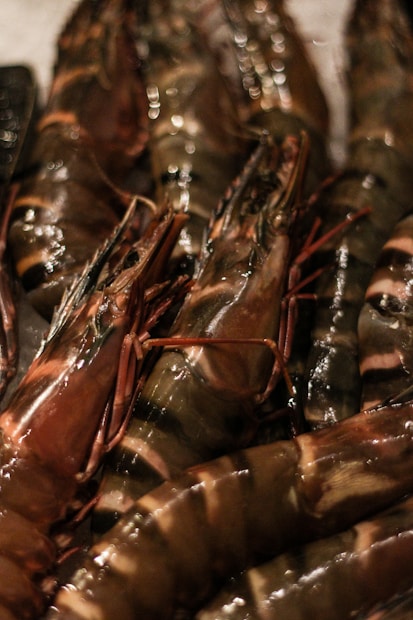 Close-up view of a pile of fresh, raw tiger prawns with dark and light brown stripes on their shells. The prawns appear to be wet and shiny, suggesting recent cleaning or washing.