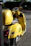 A bright yellow scooter parked by a palm tree on a sunny beach in Mauritius.