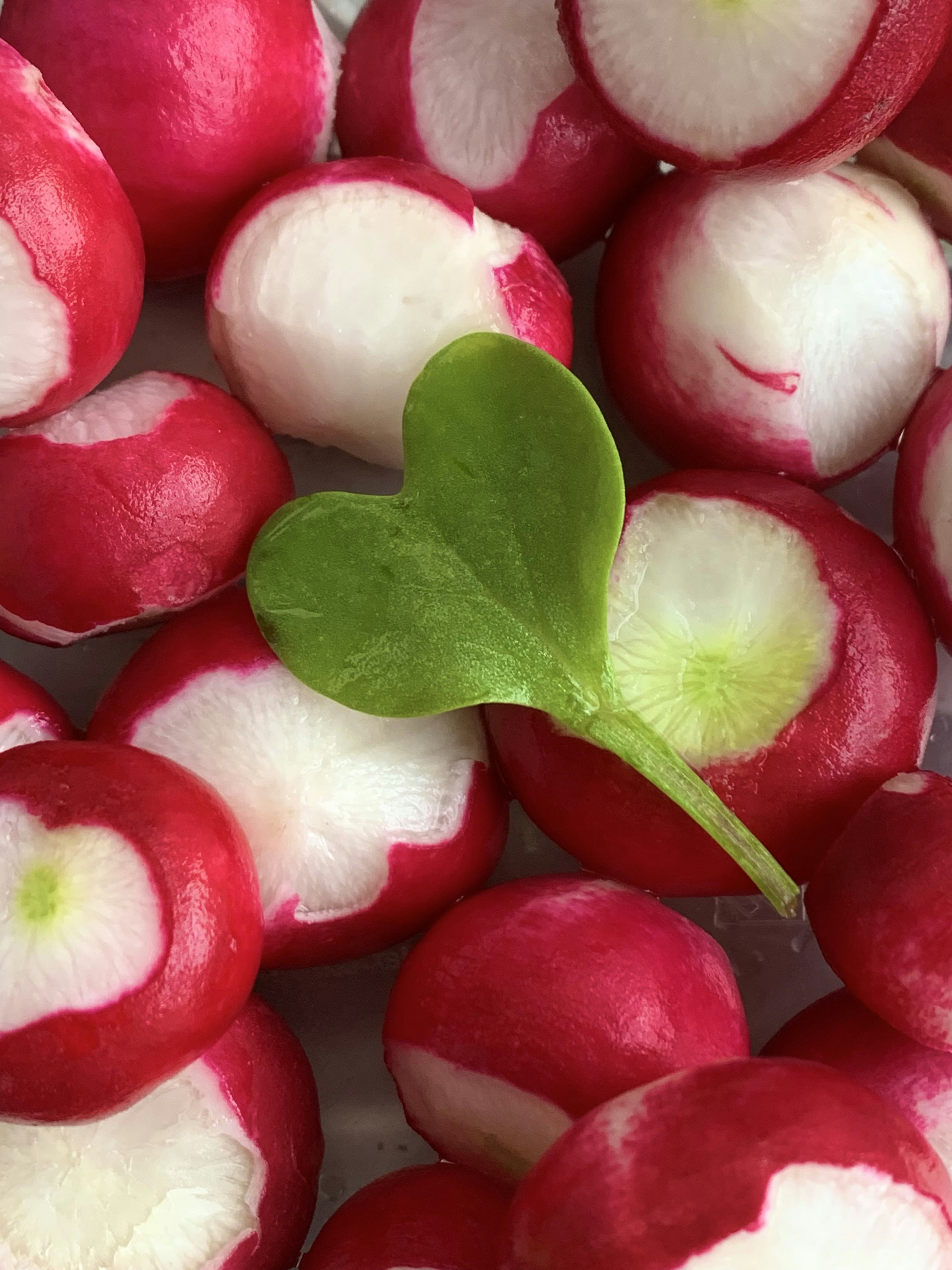 Madish Radish (@madishradish) | Comunidade de fotos da Unsplash