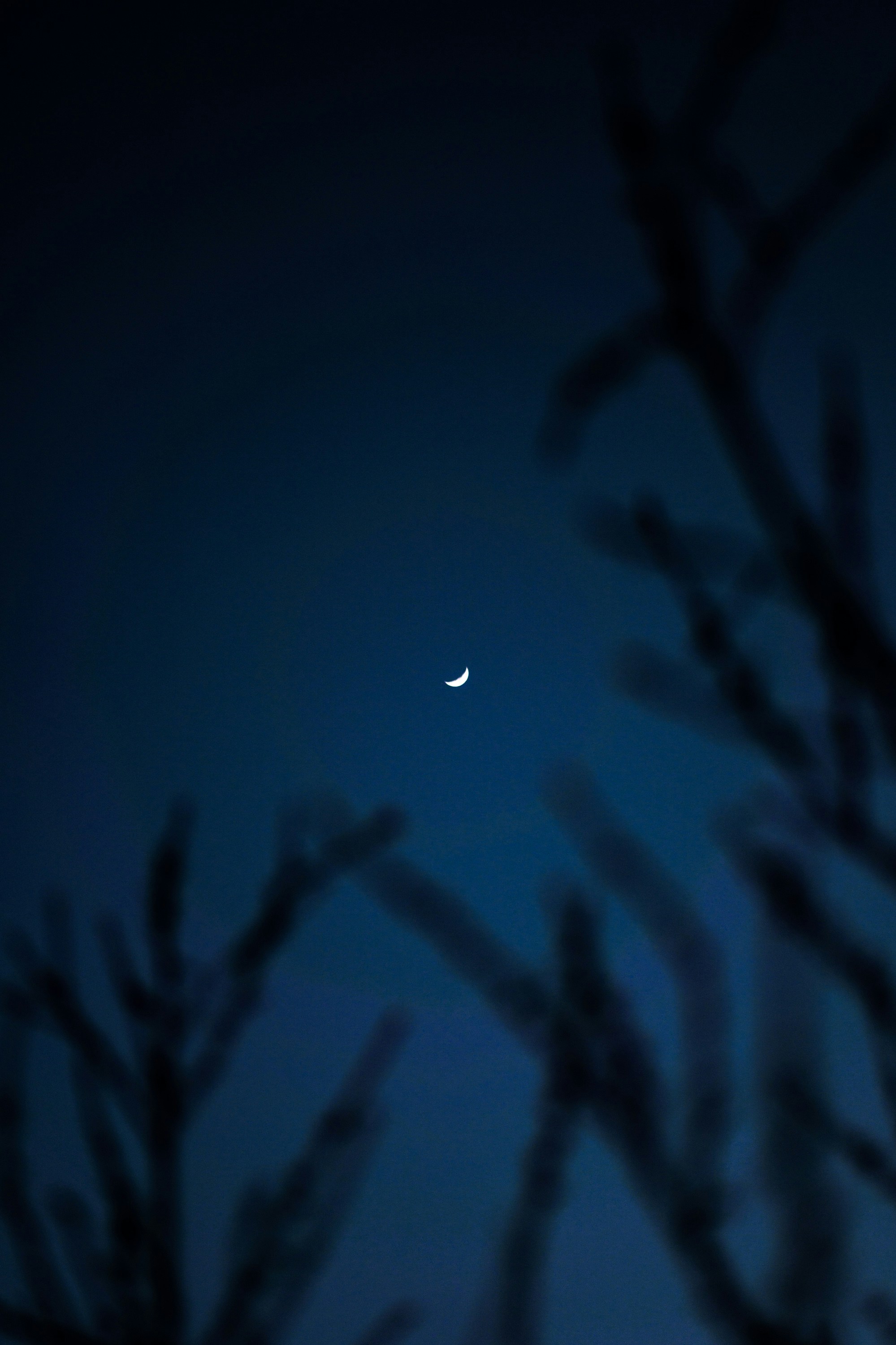 Photo by alexbeholder