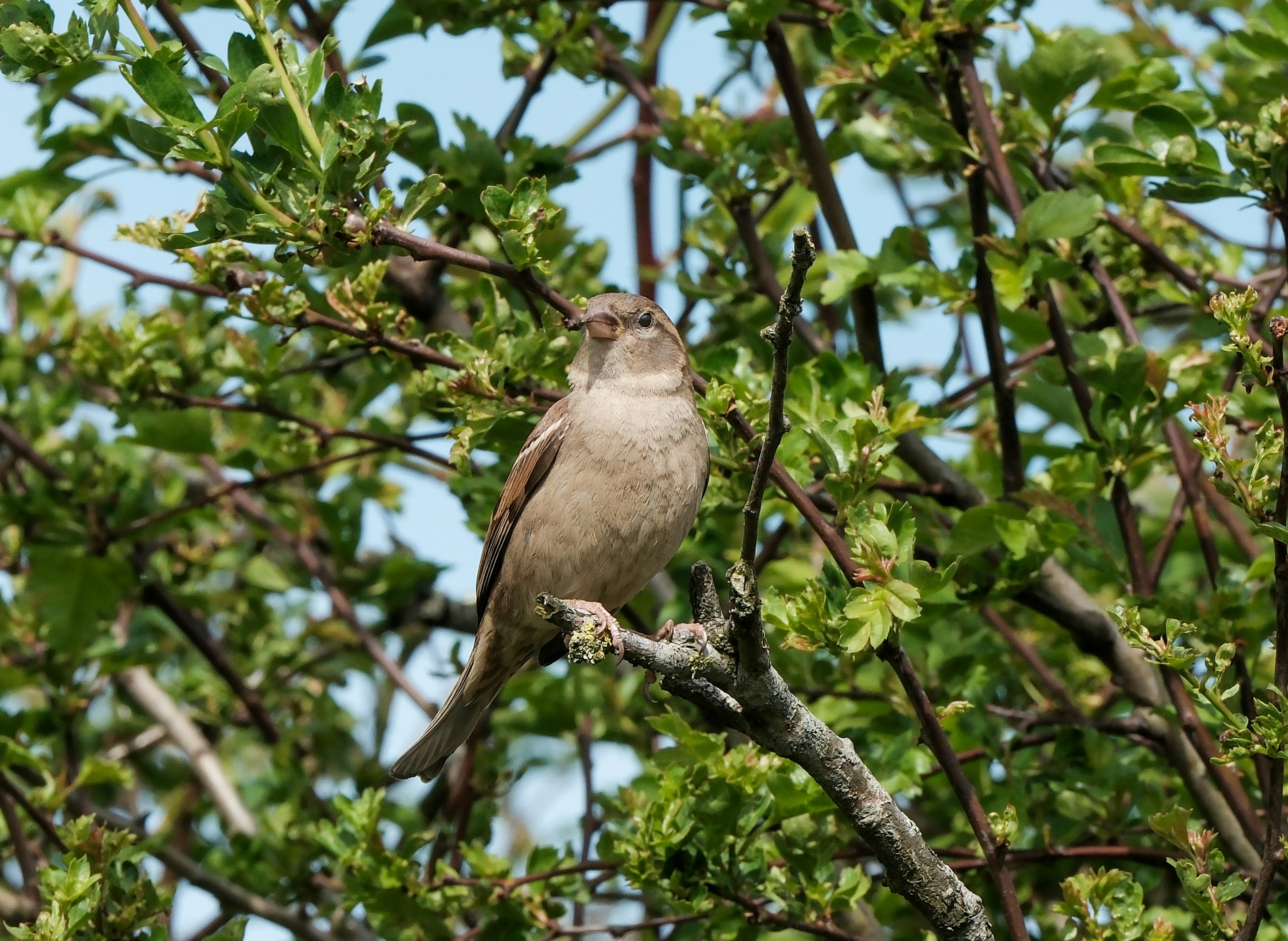 Photo by haberdoedas2