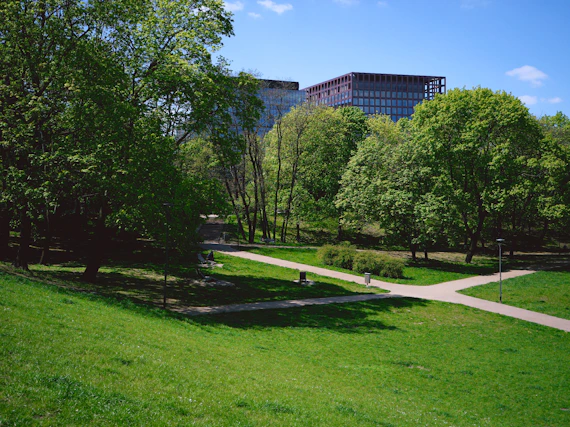 a park with a few benches and trees