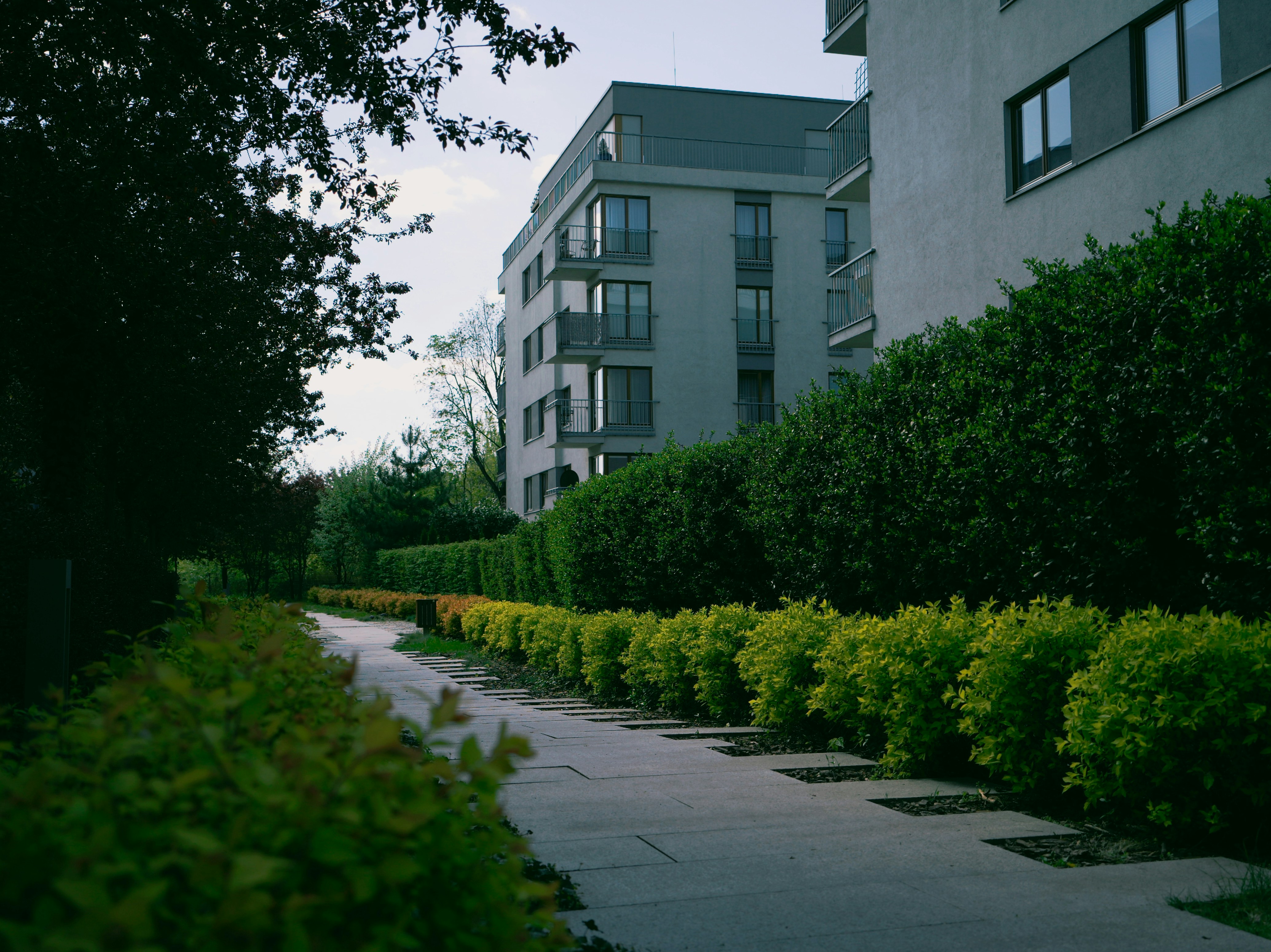 Photo by egorkomarov