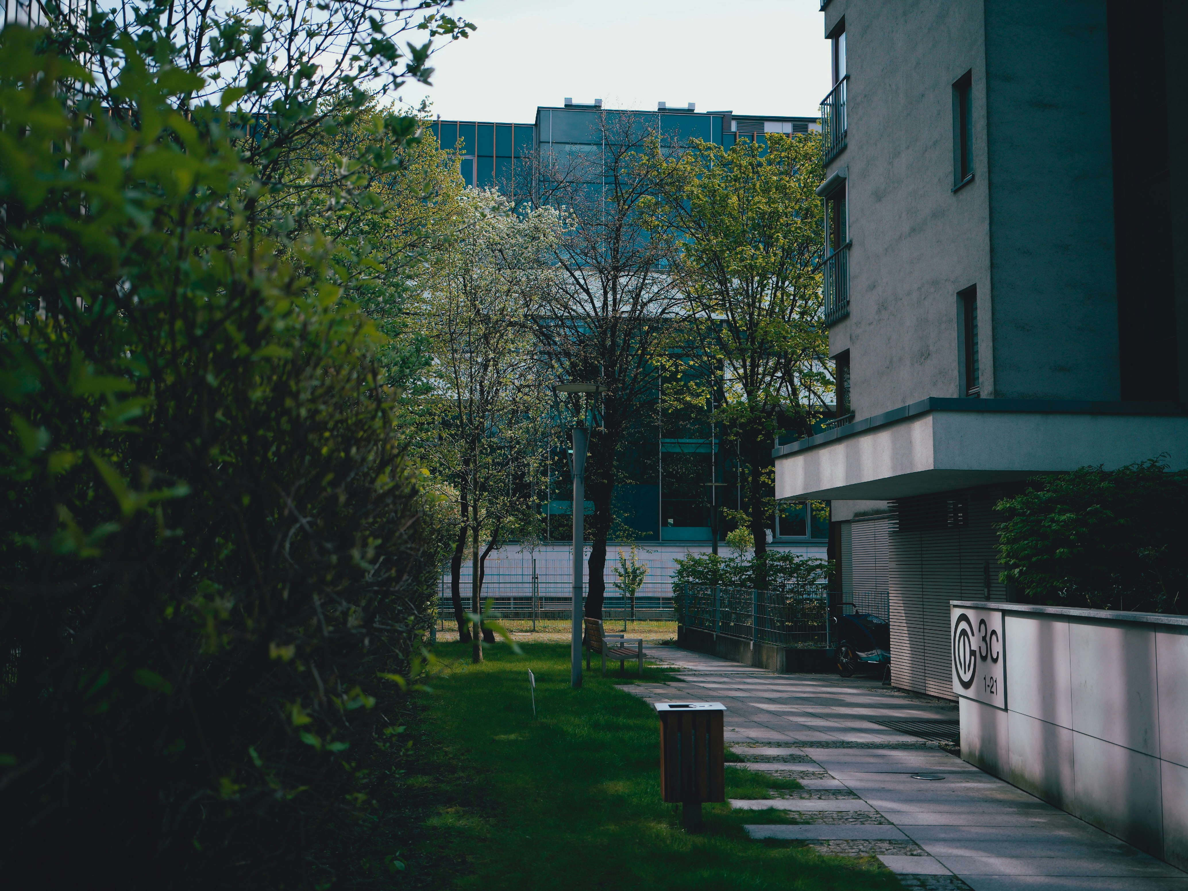 Photo by egorkomarov