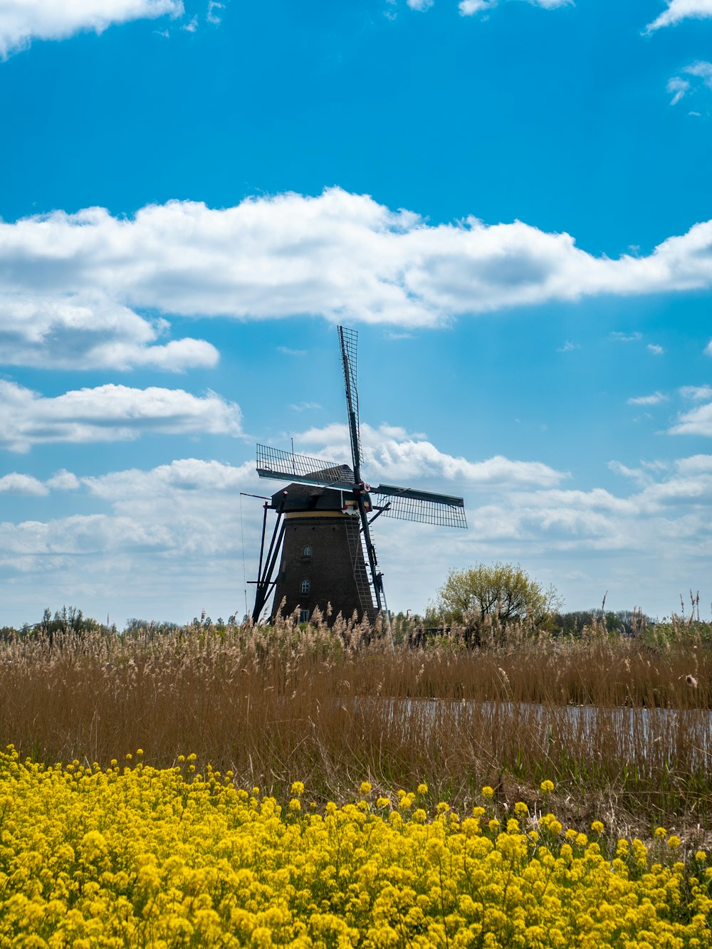 a windmill in a field of yellow flowers